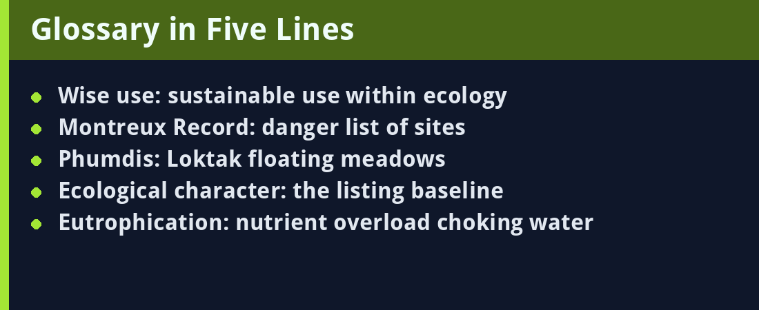 Glossary card - five key terms
