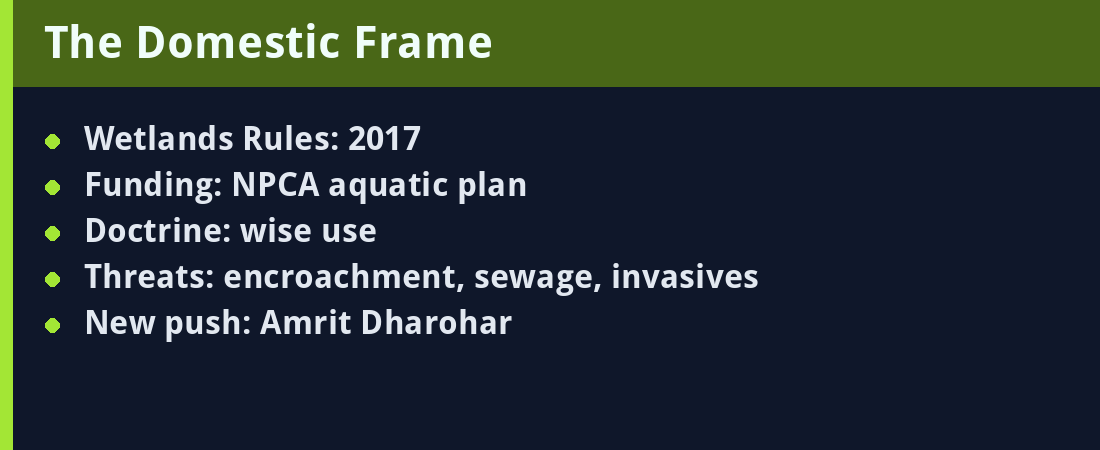 The Domestic Frame - quick revision panel